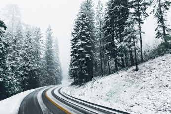 Картинка природа дороги зима дорога снег лес