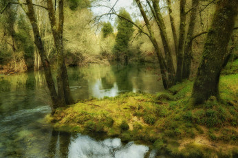 Картинка природа реки озера сальнес галисия испания лес деревья