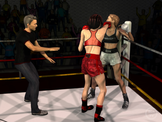Обои картинки фото 3д графика, спорт , sport, ринг, девушки, фон, взгляд, бокс
