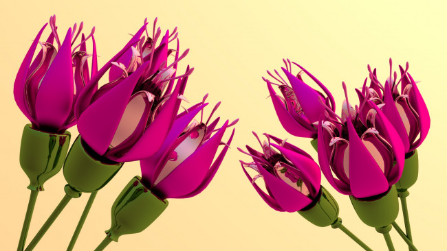 Обои картинки фото 3д графика, цветы , flowers, фон, лепестки
