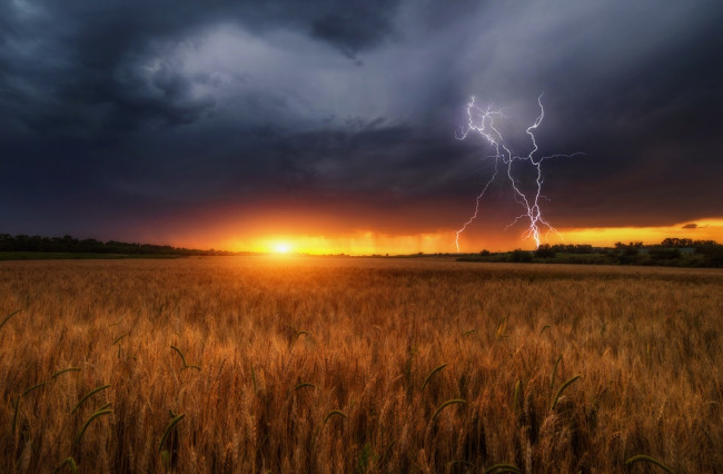 Обои картинки фото природа, молния,  гроза, поле, гром, солнечный, закат, алексей, дранговский
