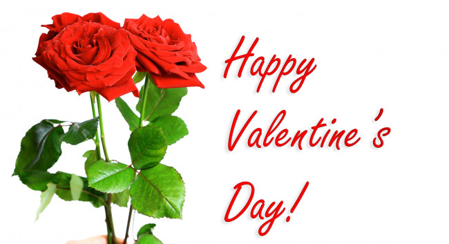 Обои картинки фото праздничные, день святого валентина,  сердечки,  любовь, три, красных, розы