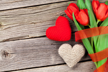 Картинка праздничные день+святого+валентина +сердечки +любовь сердечки тюльпаны лента
