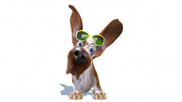 Картинка 3д+графика животные+ animals собака очки