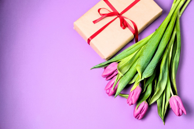 Обои картинки фото праздничные, подарки и коробочки, подарок, тюльпаны