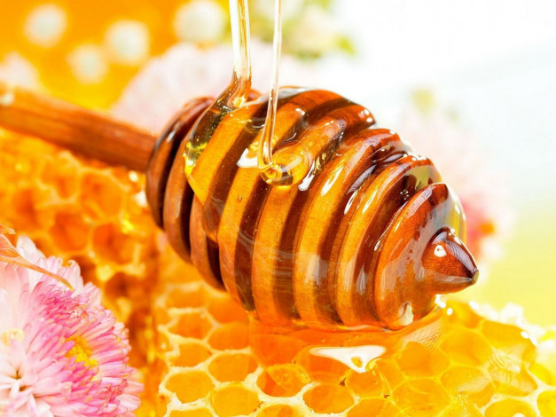 Обои картинки фото еда, мёд, варенье, повидло, джем