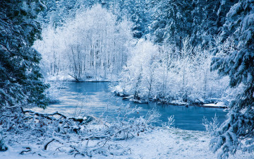 Картинка природа зима река иней