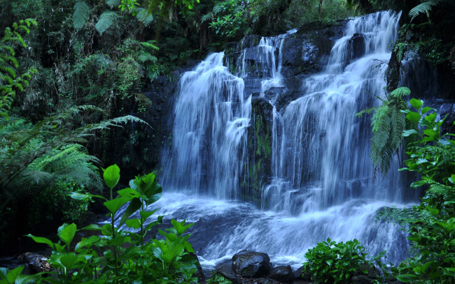 Обои картинки фото природа, водопады, вода, растения, камни
