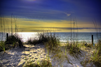 Картинка природа побережье океан трава песок дюны