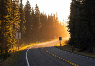 Картинка природа дороги поворот road солнце навстречу лучи свет лес деревья ели разметка обочина
