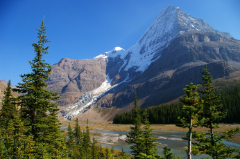 Картинка mount+robson+provincial+park +british+columbia +canada природа горы снег ели вода канада