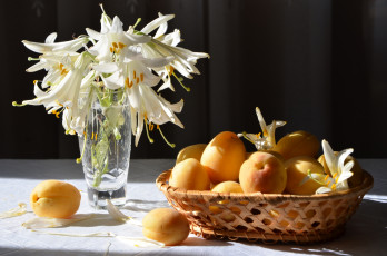 Картинка еда персики +сливы +абрикосы абрикосы лилии