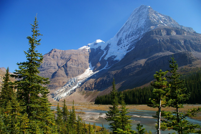 Обои картинки фото mount robson provincial park,  british columbia,  canada, природа, горы, снег, ели, вода, канада
