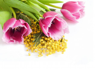 Картинка цветы разные+вместе тюльпаны мимозы