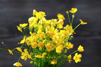 Картинка цветы калужницы +лютики лютики букет желтые