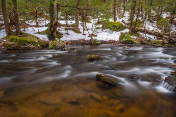 Картинка природа реки озера река снег весна лес поток