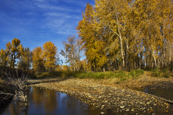 Картинка природа реки озера лес осень деревья