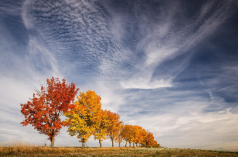 Картинка природа деревья листья краски небо осень