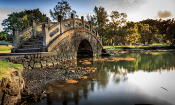 Картинка природа парк река лес мост