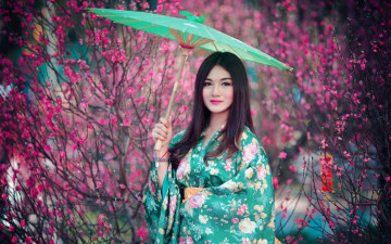 Картинка девушки -unsort+ азиатки цветущие взгляд макияж зонт цветы девушка деревья