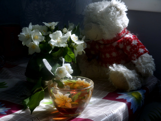 Обои картинки фото разное, игрушки, чашка, мишка, игрушка, жасмин, цветы, чай
