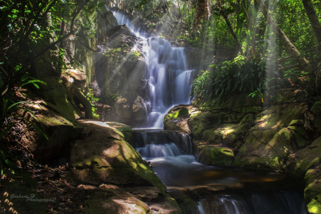 Обои картинки фото природа, водопады, джунгли, деревья, лес, водопад