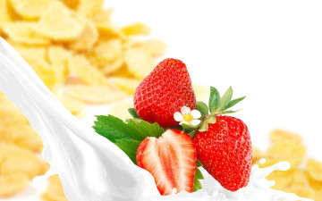 Картинка еда клубника +земляника молоко хлопья ягоды