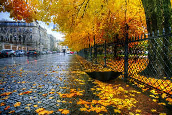 обоя города, санкт-петербург,  петергоф , россия, екатерининский, парк, забор, листья, санкт, петербург, зонт, осень, дождь