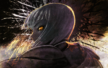 Картинка аниме claymore огонь глаз взгляд