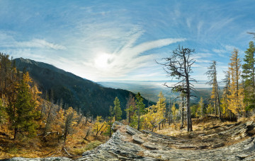 Картинка природа пейзажи лес пейзаж деревья осень валежник вид скалы горы