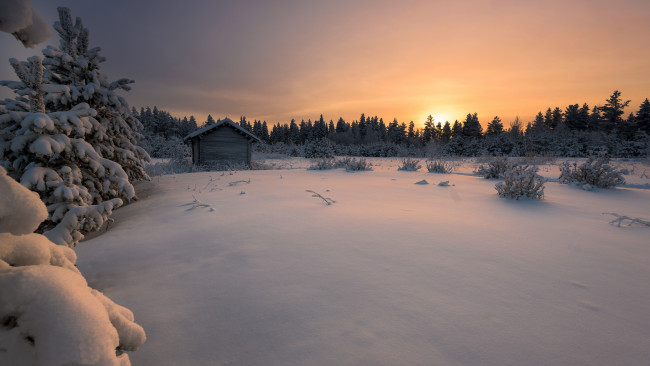 Обои картинки фото природа, зима, лес, закат, снег, finland, финляндия