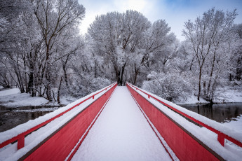 Картинка природа парк зима мост