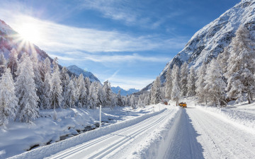 Картинка природа дороги снег деревья