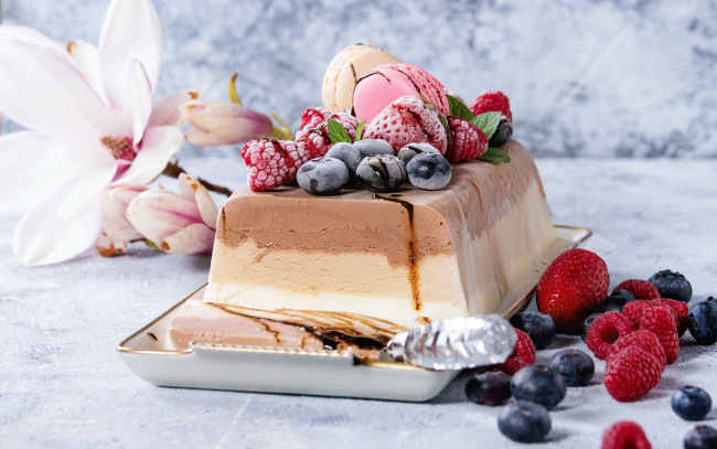Обои картинки фото еда, мороженое,  десерты, торт, ягоды, макаруны, магнолия
