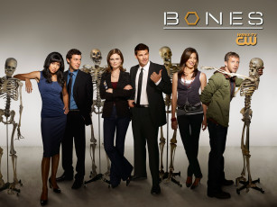 Картинка bones кино фильмы