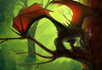 Картинка фэнтези драконы дерево