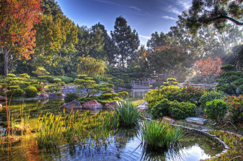 Картинка природа парк пруд японский сад япония