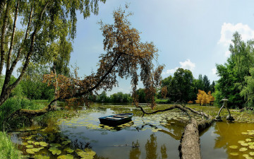 Картинка природа реки озера лесное озеро лодка бревно