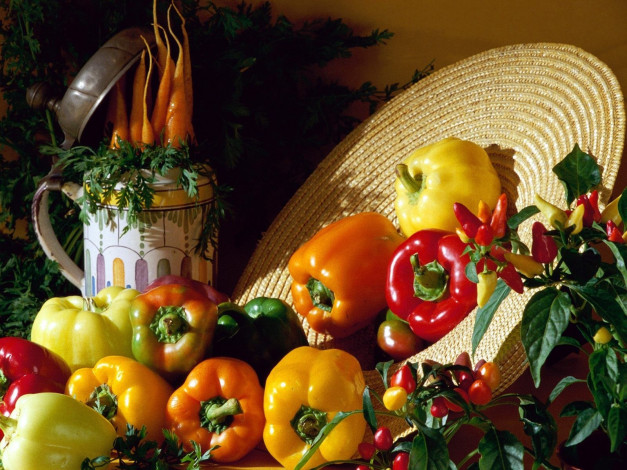 Обои картинки фото еда, овощи, вода, камни, орёл, скульптура, шляпа, перец, морковь, кружка