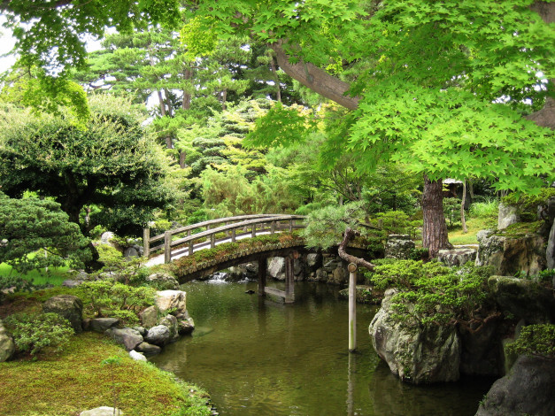Обои картинки фото природа, парк, япония, японский, сад, зелень, мост, лето, вода