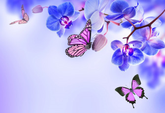 Картинка разное компьютерный+дизайн цветы орхидея бабочки