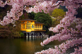 Картинка города -+пейзажи сакура ветки kamakita озеро дом апрель весна морояма посёлок сайтама префектура остров хонсю Япония цвет