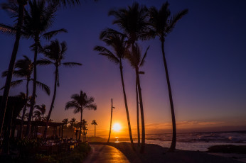 Картинка природа восходы закаты пальмы сумерки тропики океан
