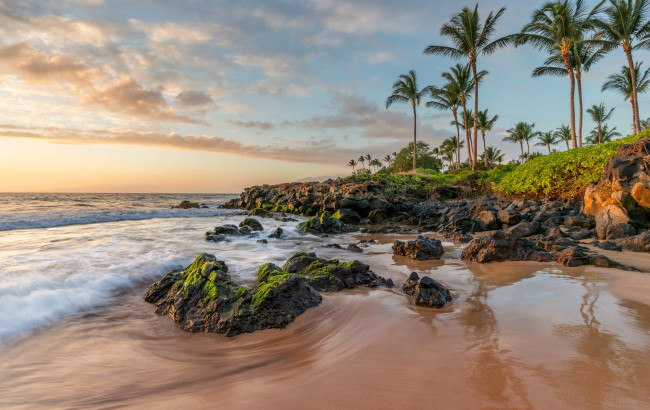Обои картинки фото природа, тропики, океан, пальмы, пляж