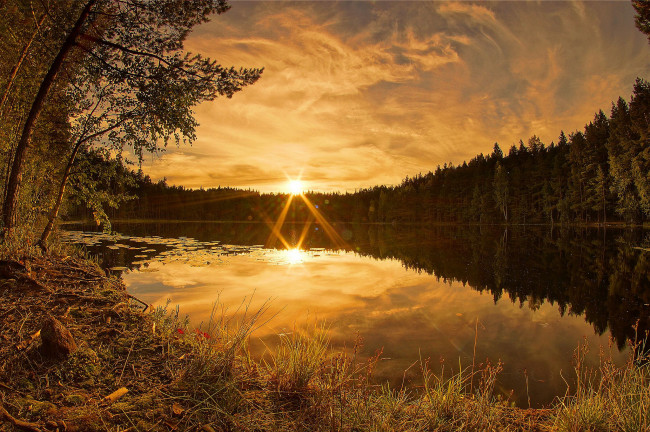 Обои картинки фото природа, восходы, закаты, заря, река, лес