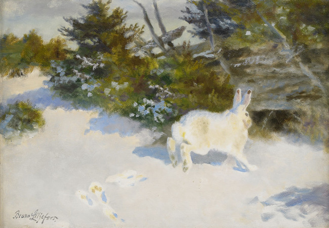 Обои картинки фото рисованное, животные,  зайцы,  кролики, заец, снег, лес
