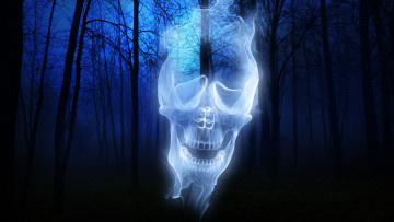Картинка фэнтези призраки ночь лес фантом привидение призрак ghost