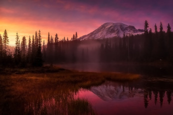 Картинка природа восходы закаты горы утро вечер свет туман лес