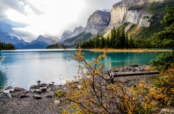 Картинка природа горы национальный парк джаспер остров спирит на озере малайн канада