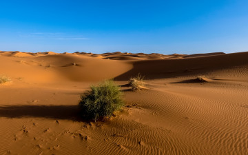 Картинка природа пустыни сахара